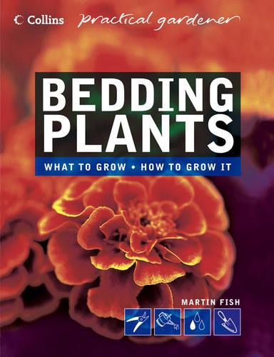 Bedding Plants (Collins Practical Gardener) (Collins Practical Gardener S.)
