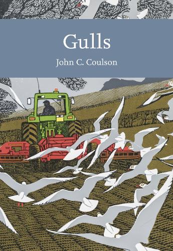 Gulls (Collins New Naturalist Library, Book 139)