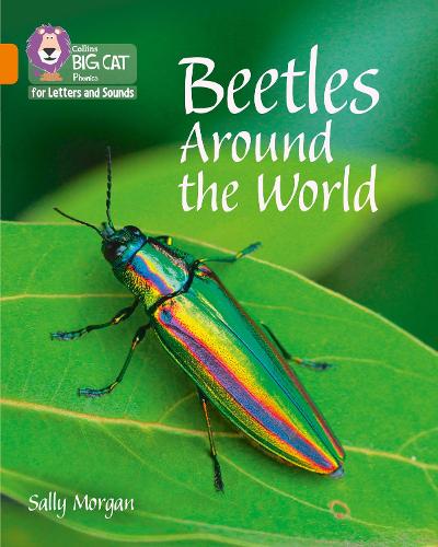 Collins Big Cat Phonics for Letters and Sounds � Beetles Around the World: Band 6/Orange
