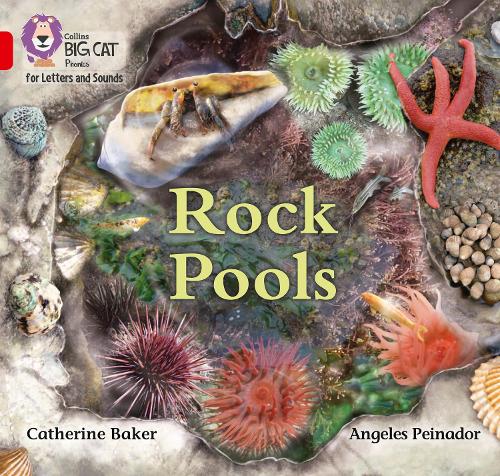 Collins Big Cat Phonics for Letters and Sounds � Rock Pools: Band 02B/Red B