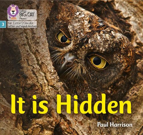 It is Hidden: Phase 3 (Big Cat Phonics for Little Wandle Letters and Sounds Revised)