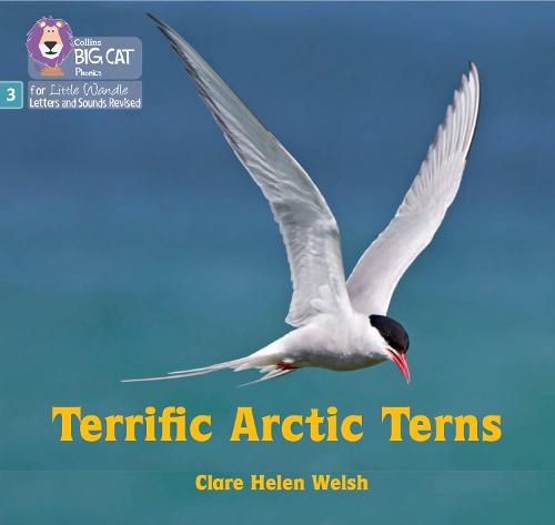 Terrific Arctic Terns: Phase 3 Set 2 (Big Cat Phonics for Little Wandle Letters and Sounds Revised)