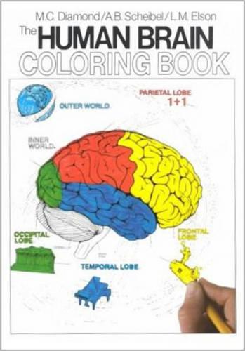 The Human Brain Colouring Book (Coloring Concepts Series)