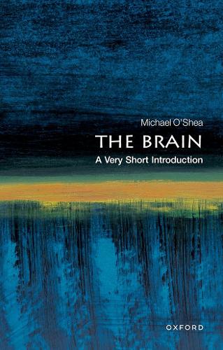 The Brain: A Very Short Introduction (Very Short Introductions)