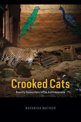 Crooked Cats: Beastly Encounters in the Anthropocene (Animal Lives)