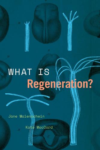 What Is Regeneration? (Convening Science: Discovery at the Marine Biological Laboratory)