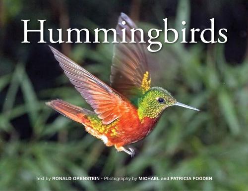 Hummingbirds 2018