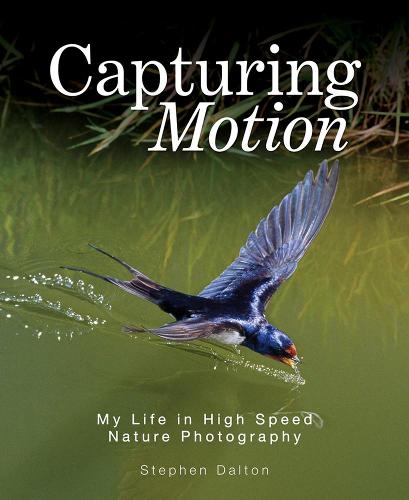 Capturing Motion: My Life in High Speed Nature Photography