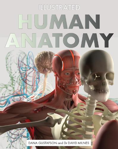Illustrated Human Anatomy: The Authoritative Visual Guide to the Human Body