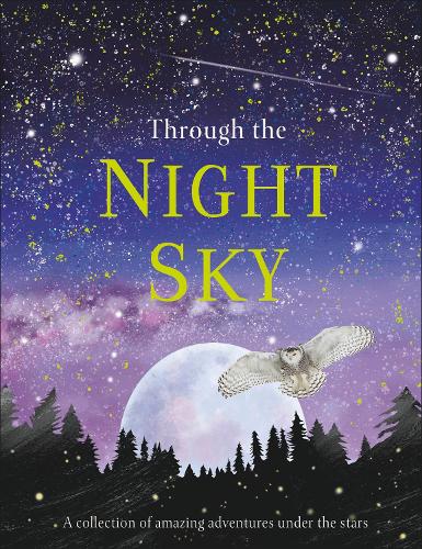 Through the Night Sky: A collection of amazing adventures under the stars (Snap Facts)