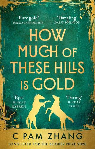 How Much of These Hills is Gold: Longlisted for the Booker Prize 2020