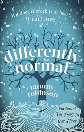 Differently Normal: A heartbreaking love story for fans of Me Before You
