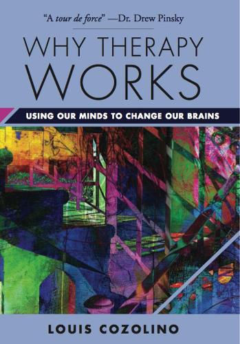 Why Therapy Works: Using Our Minds to Change Our Brains (Norton Series on Interpersonal Neurobiology)