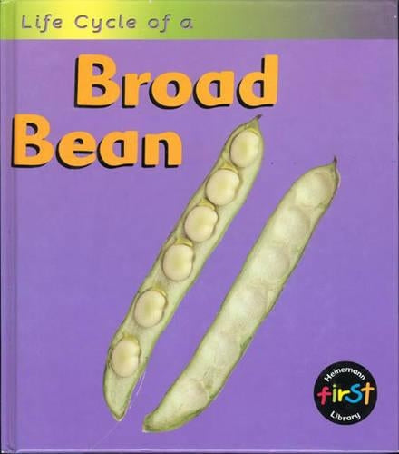 Broad Bean (Life Cycles)