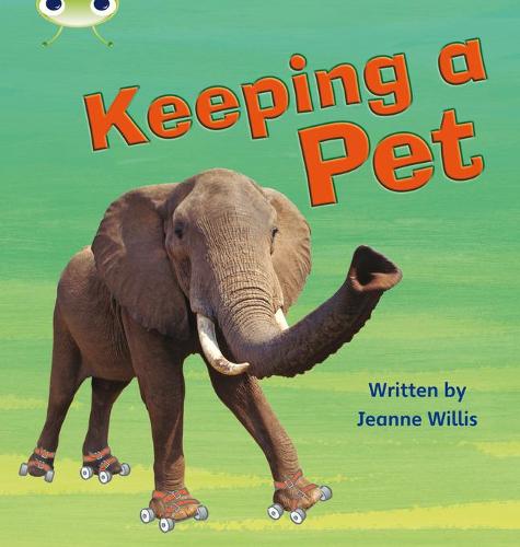 Keeping a Pet: Non-Fiction Set 13 (Phonics Bug)