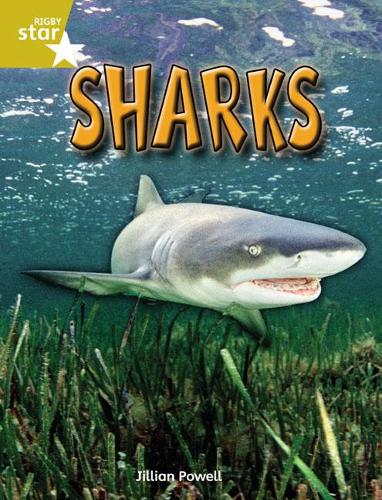 Rigby Star Independent Year 2 Gold Non Fiction Sharks Single: Gold Level Non-fiction