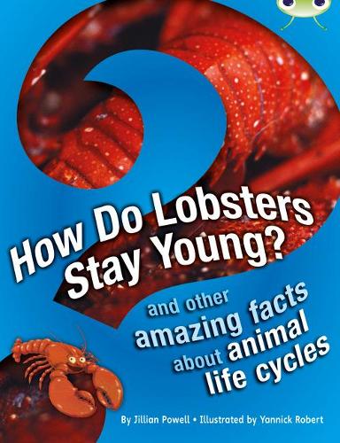 Bug Club Non-fiction How Do Lobsters Stay Young? (brown A / NC 3C)