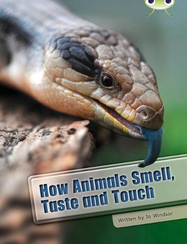 Bug Club Non-fiction How Animals Smell, Taste and Touch (white A / NC 5B)