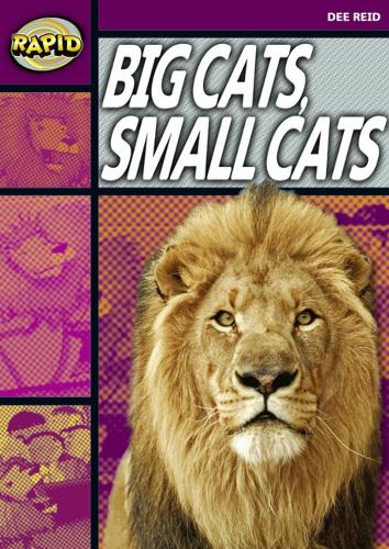 Rapid Stage 1 Set A: Big Cats Small Cats (Series 1) (RAPID SERIES 1)