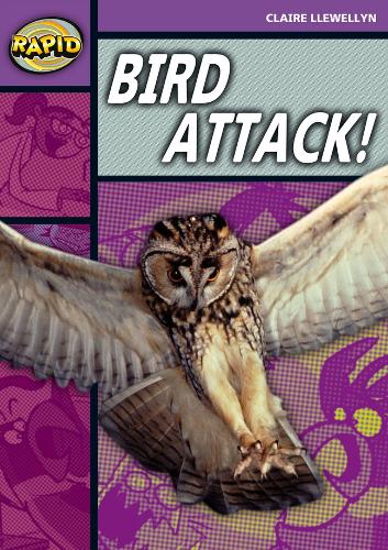 Rapid Stage 1 Level B: Bird Attack! (Series 2): Series 2 Stage 1 Lev (RAPID SERIES 2)