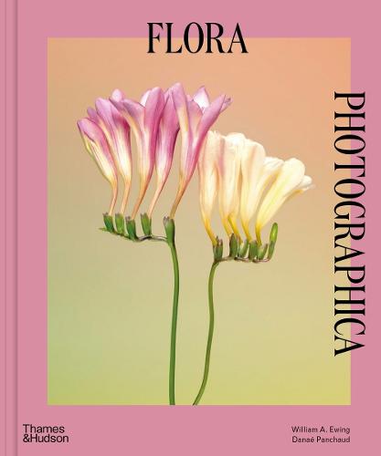 Flora Photographica: The Flower in Contemporary Photography