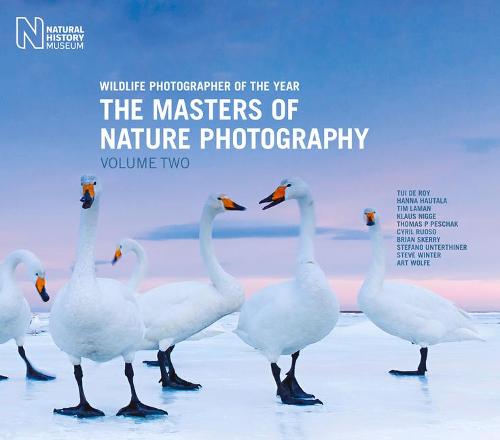 Wildlife Photographer of the Year: Volume 2: The Masters of Nature Photography (Wildlife Photographer of Year)