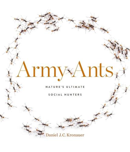 Army Ants: Natures Ultimate Social Hunters