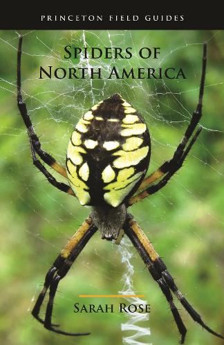 Spiders of North America: 154 (Princeton Field Guides, 154)