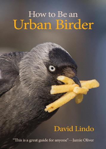 How to Be an Urban Birder (WILDGuides)
