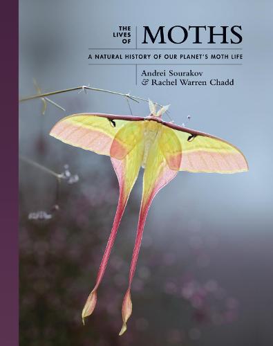 The Lives of Moths: A Natural History of Our Planet's Moth Life: 1 (The Lives of the Natural World, 1)