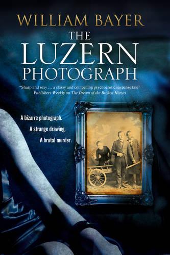 The Luzern Photograph: A Noir Thriller (Large Print)