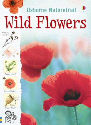 Wild Flowers (Nature Trail) (Usborne Nature Trail)