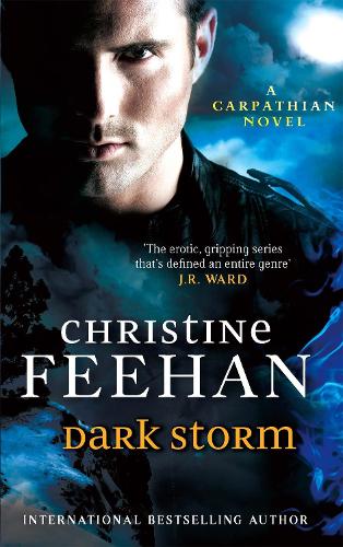 Dark Storm: Number 23 in series ('Dark' Carpathian)
