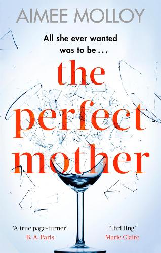 The Perfect Mother: A gripping thriller with a nail-biting twist