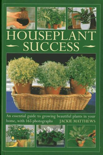 Houseplant Success: An Essential Guide to Growing Beautiful Plants in your Home