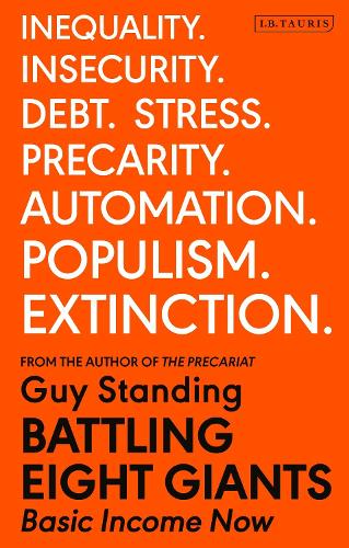 Basic Income Now: How to End Austerity and Provide for All