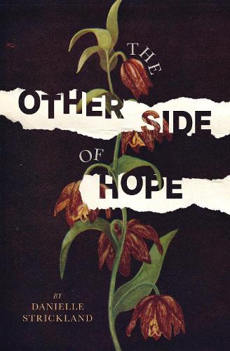Other Side of Hope: Flipping the Script on Cynicism and Despair and Rediscovering our Humanity
