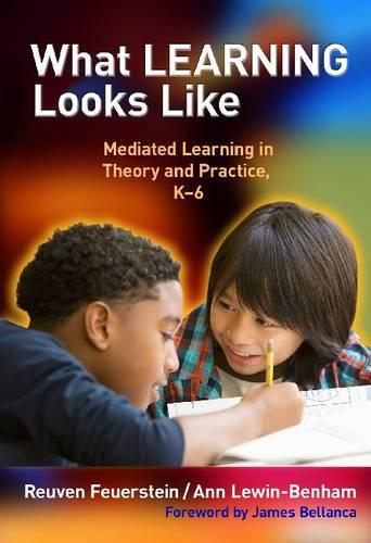 What Learning Looks Like: Mediated Learning in Theory and Practice, K-6
