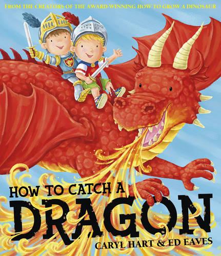 How To Catch a Dragon (Albie)