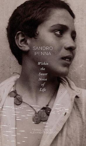 Within the Sweet Noise of Life: Selected Poems (The Italian List - (Seagull Titles - CHUP))