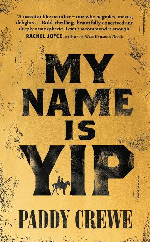 My Name is Yip: ‘Singular and singing’ Sebastian Barry