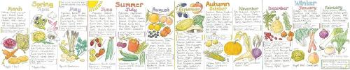 Seasonal Fruit and Vegetables Wallchart (Liz Cook Charts)