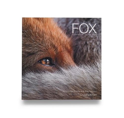 Fox Fox: Neighbour Villain Icon