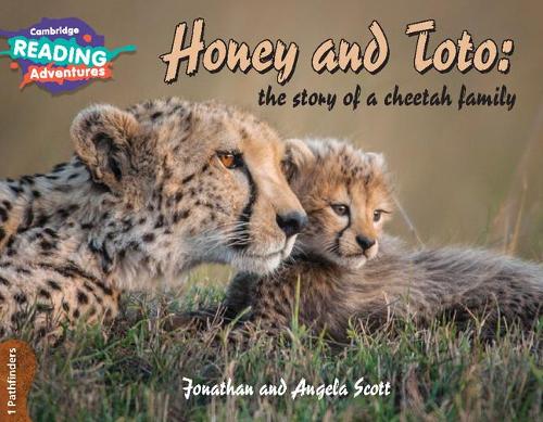 Honey and Toto: The Story of a Cheetah Family 1 Pathfinders (Cambridge Reading Adventures)