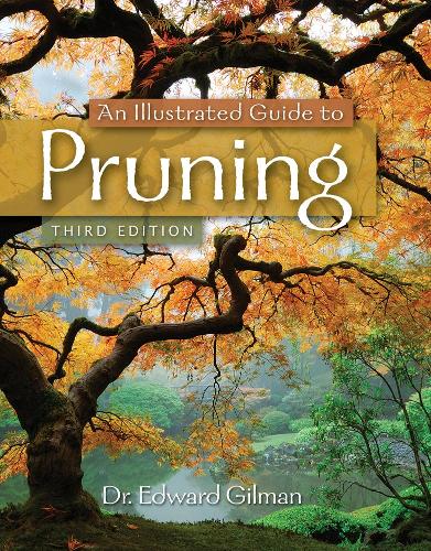 An Illustrated Guide To Pruning