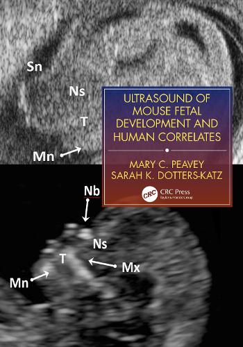 Ultrasound of Mouse Fetal Development and Human Correlates (Reproductive Medicine and Assisted Reproductive Techniques Series)