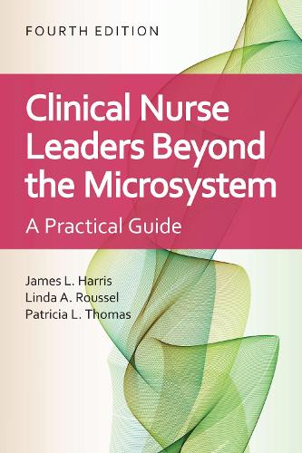 Clinical Nurse Leaders: Beyond the Microsystem: Beyond the Microsystem: A Practical Guide