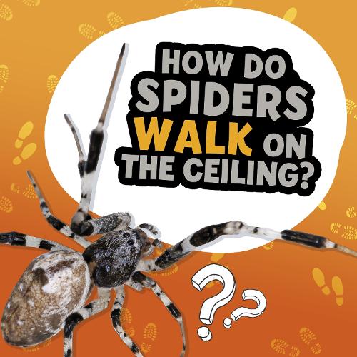 How Do Spiders Walk on the Ceiling? (Amazing Animal Q&As)