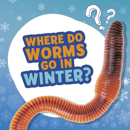 Where Do Worms Go in Winter? (Amazing Animal Q&As)