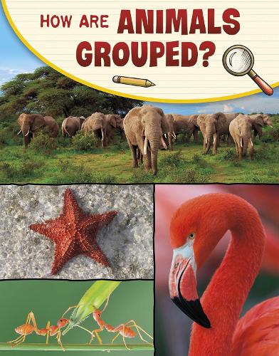 How Are Animals Grouped? (Science Enquiry)